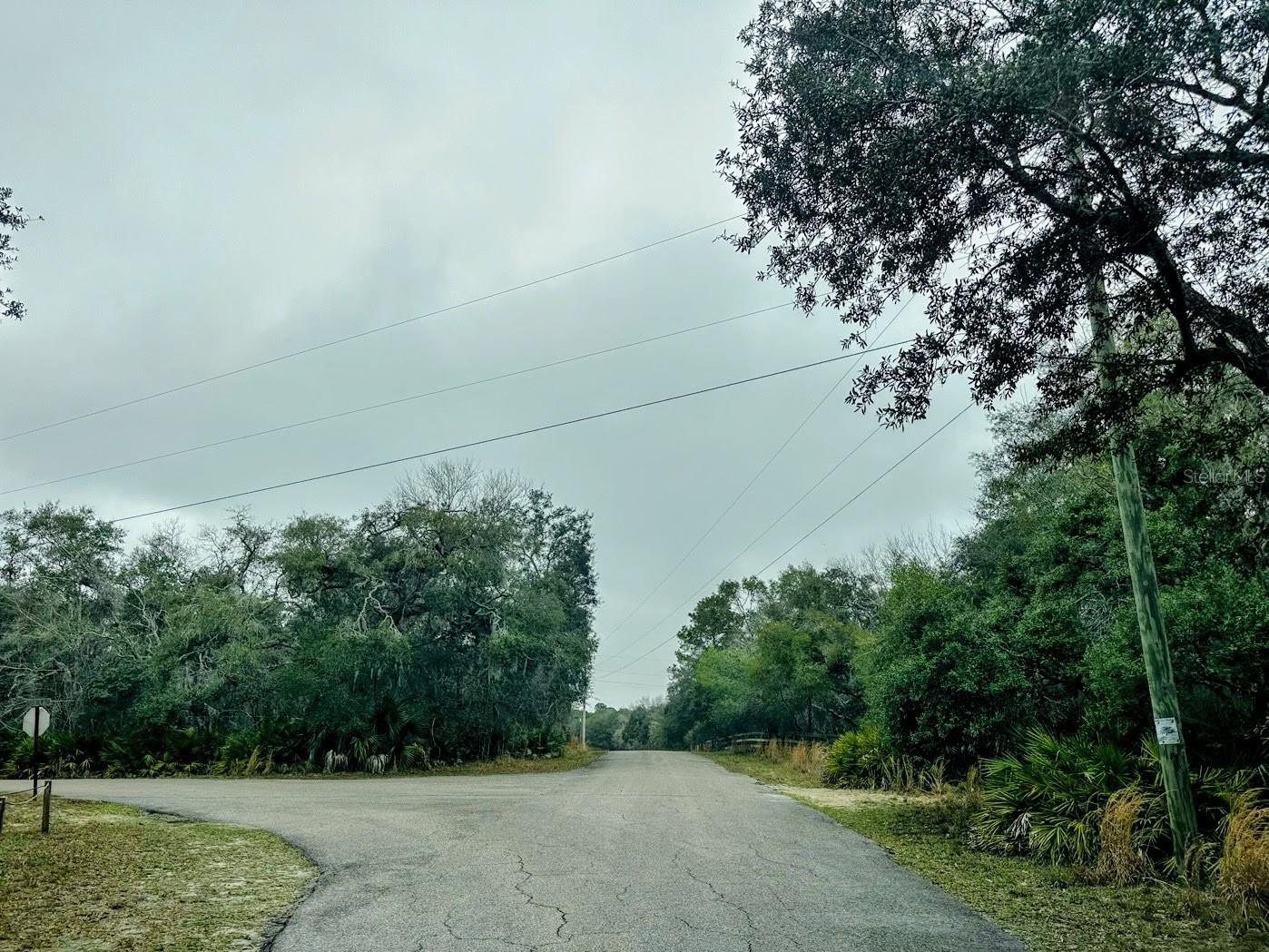 TBD Off Riverview Road #9 Fanning Springs FL 32693 - SUWANNEE RIVER OM719537 image30