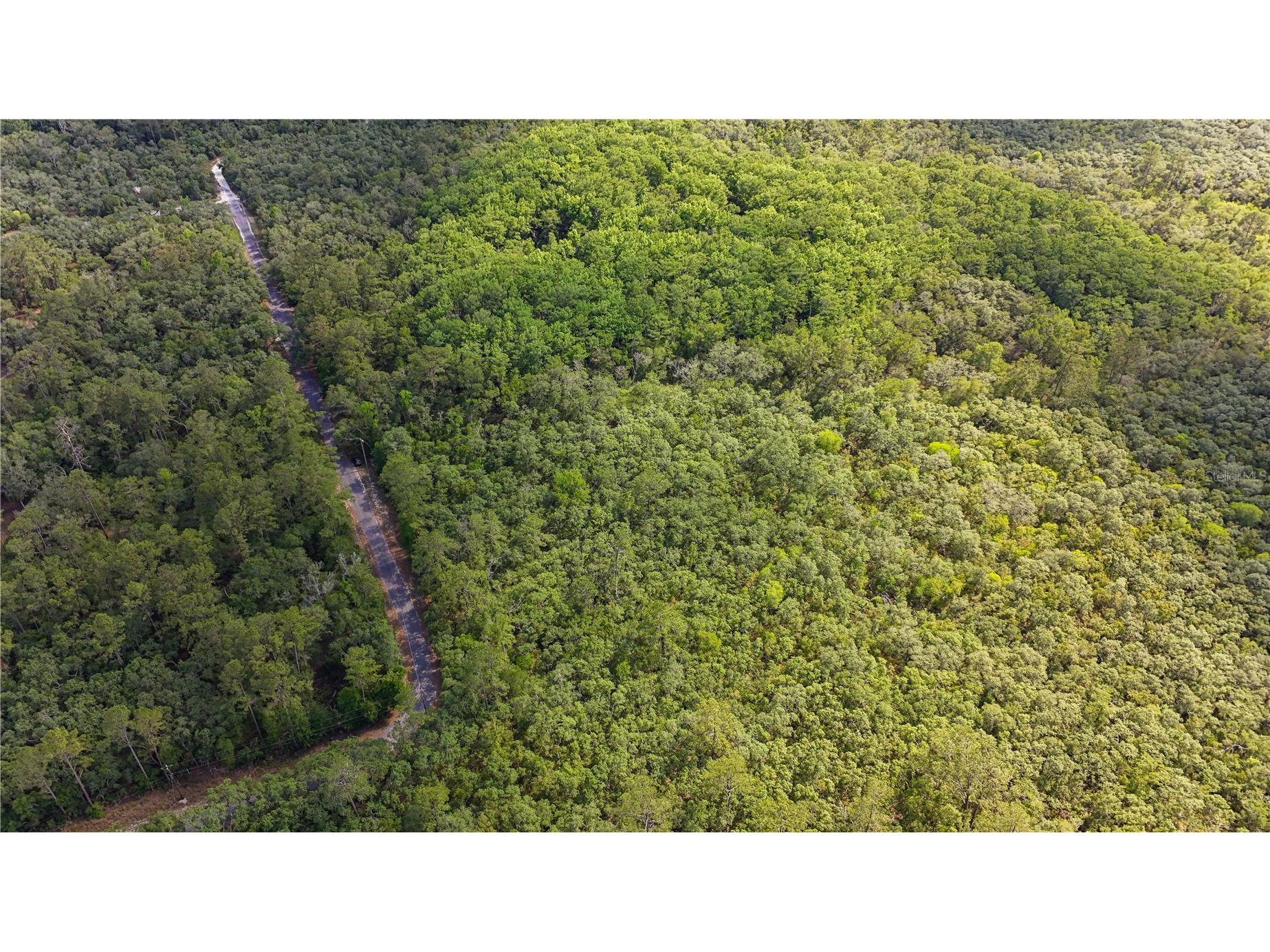 TBD Off Riverview Road #9 Fanning Springs FL 32693 - SUWANNEE RIVER OM719537 image32