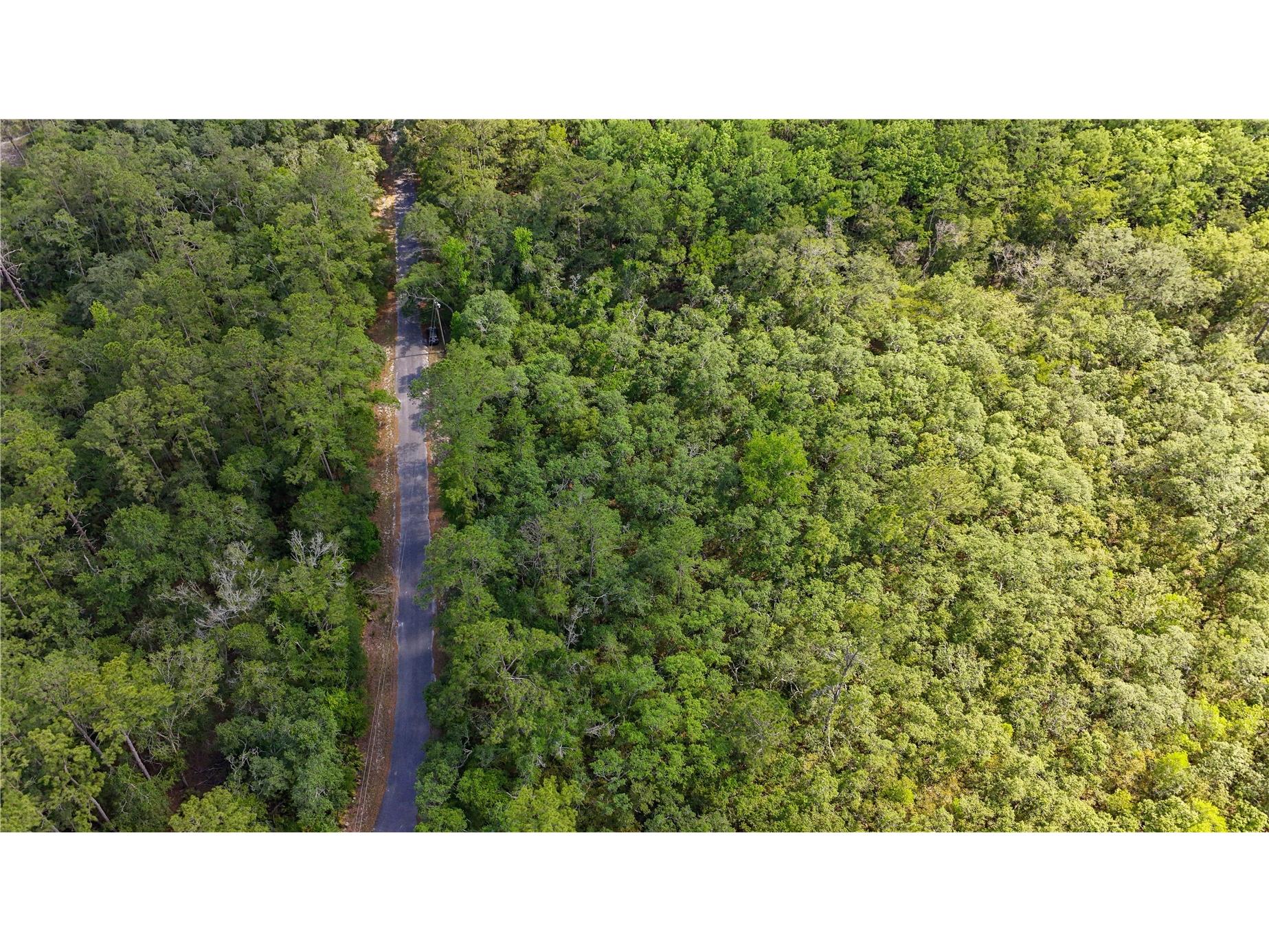 TBD Off Riverview Road #9 Fanning Springs FL 32693 - SUWANNEE RIVER OM719537 image35