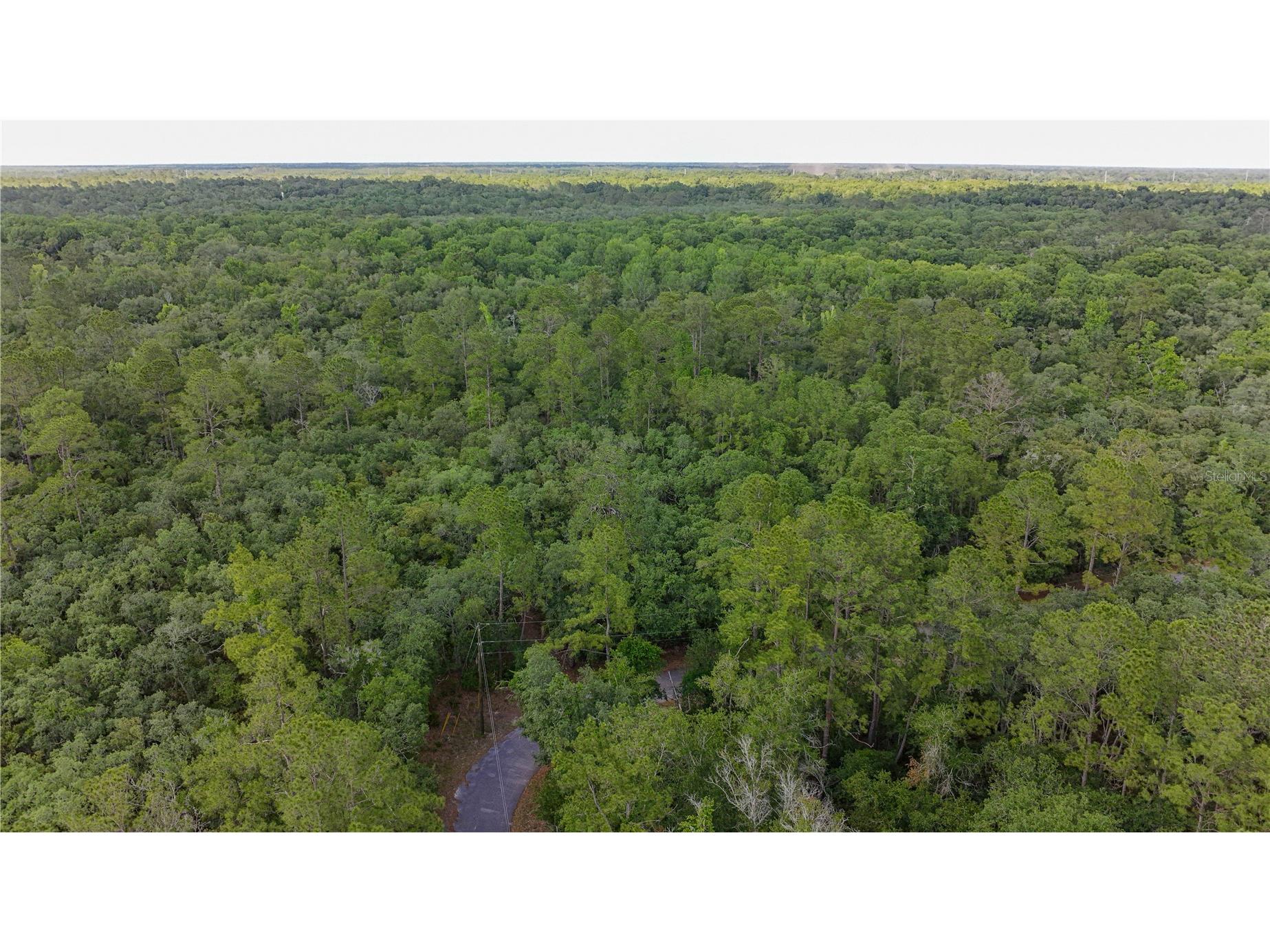 TBD Off Riverview Road #9 Fanning Springs FL 32693 - SUWANNEE RIVER OM719537 image36
