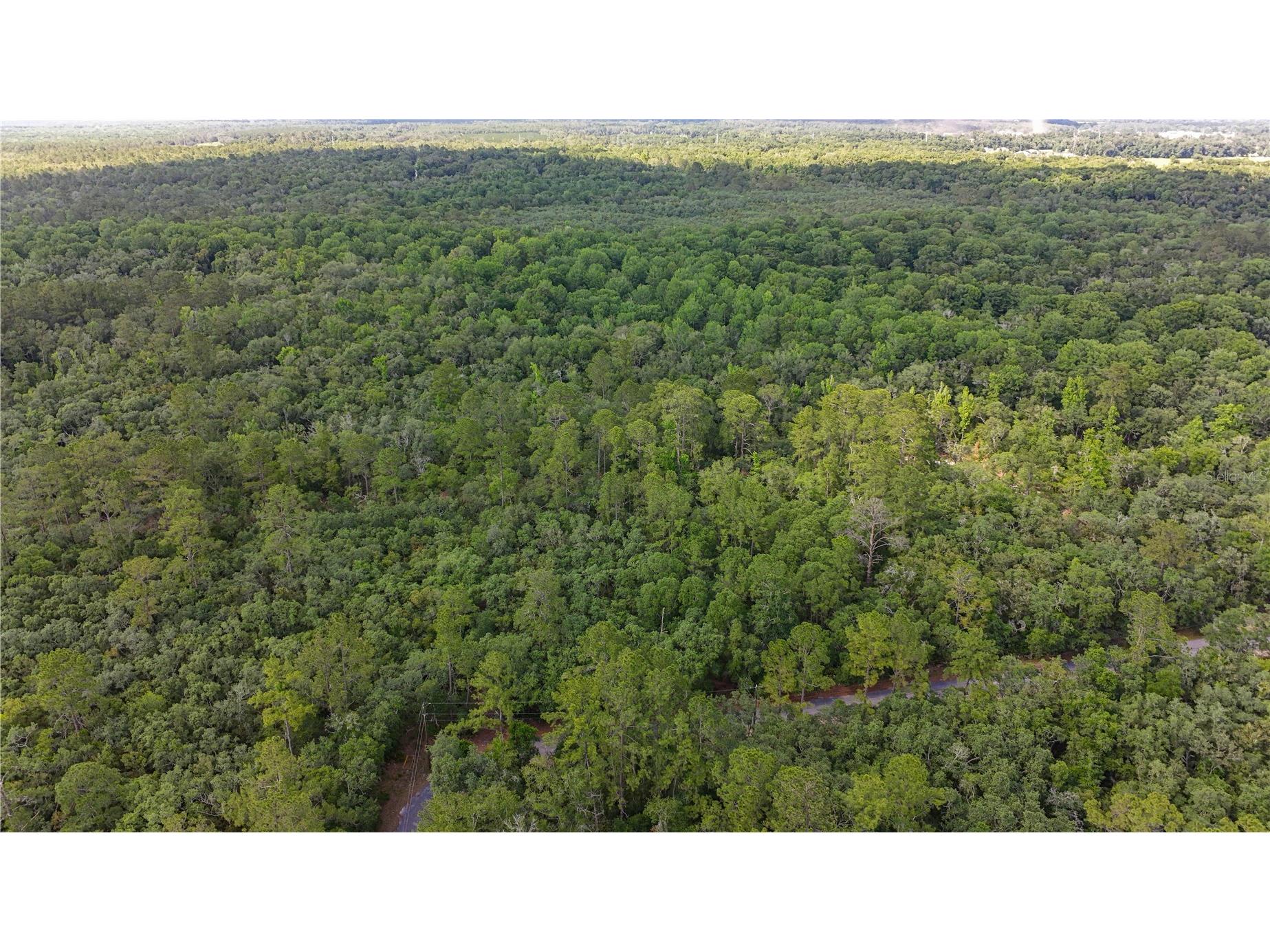 TBD Off Riverview Road #9 Fanning Springs FL 32693 - SUWANNEE RIVER OM719537 image37