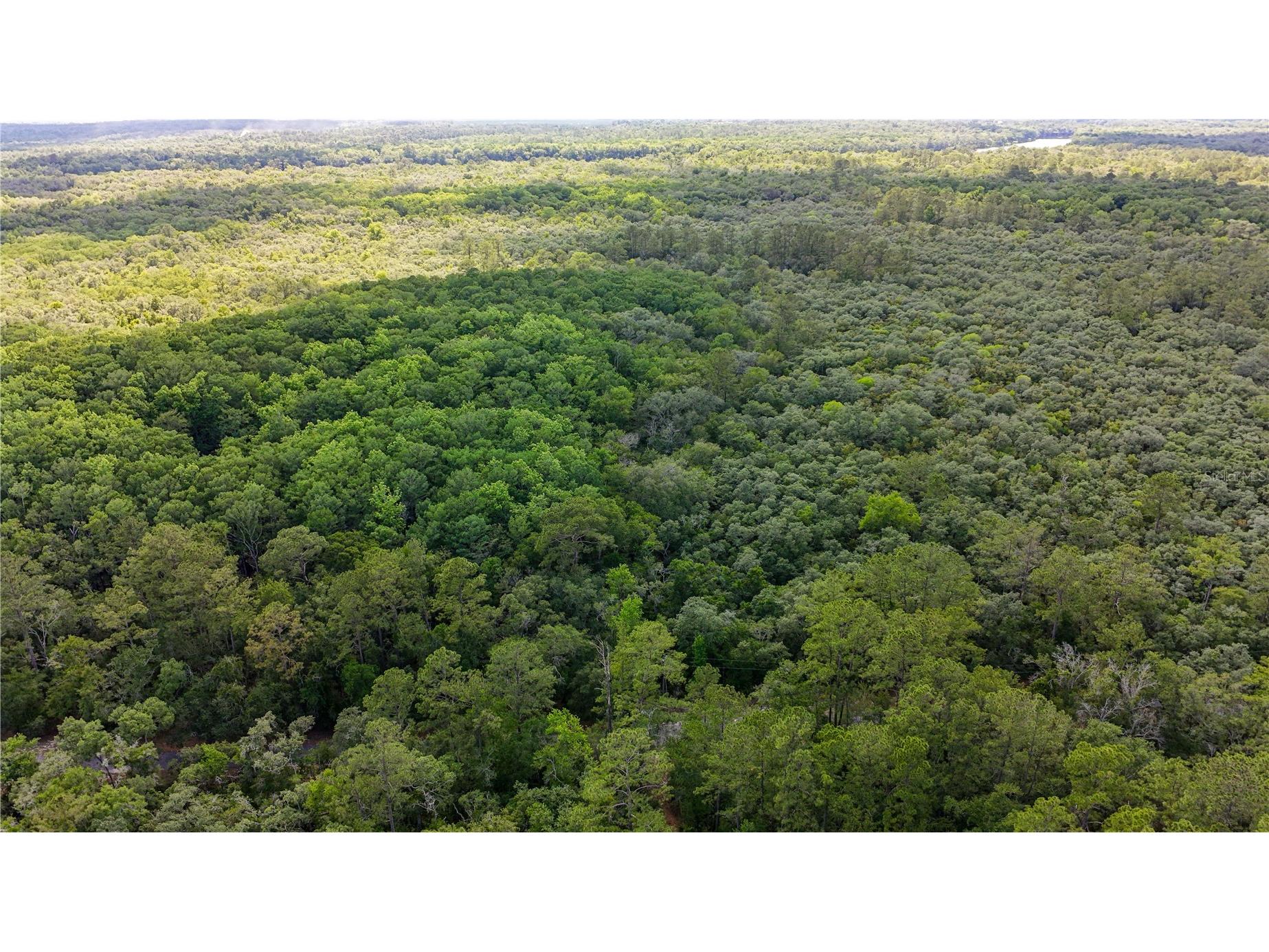 TBD Off Riverview Road #9 Fanning Springs FL 32693 - SUWANNEE RIVER OM719537 image38