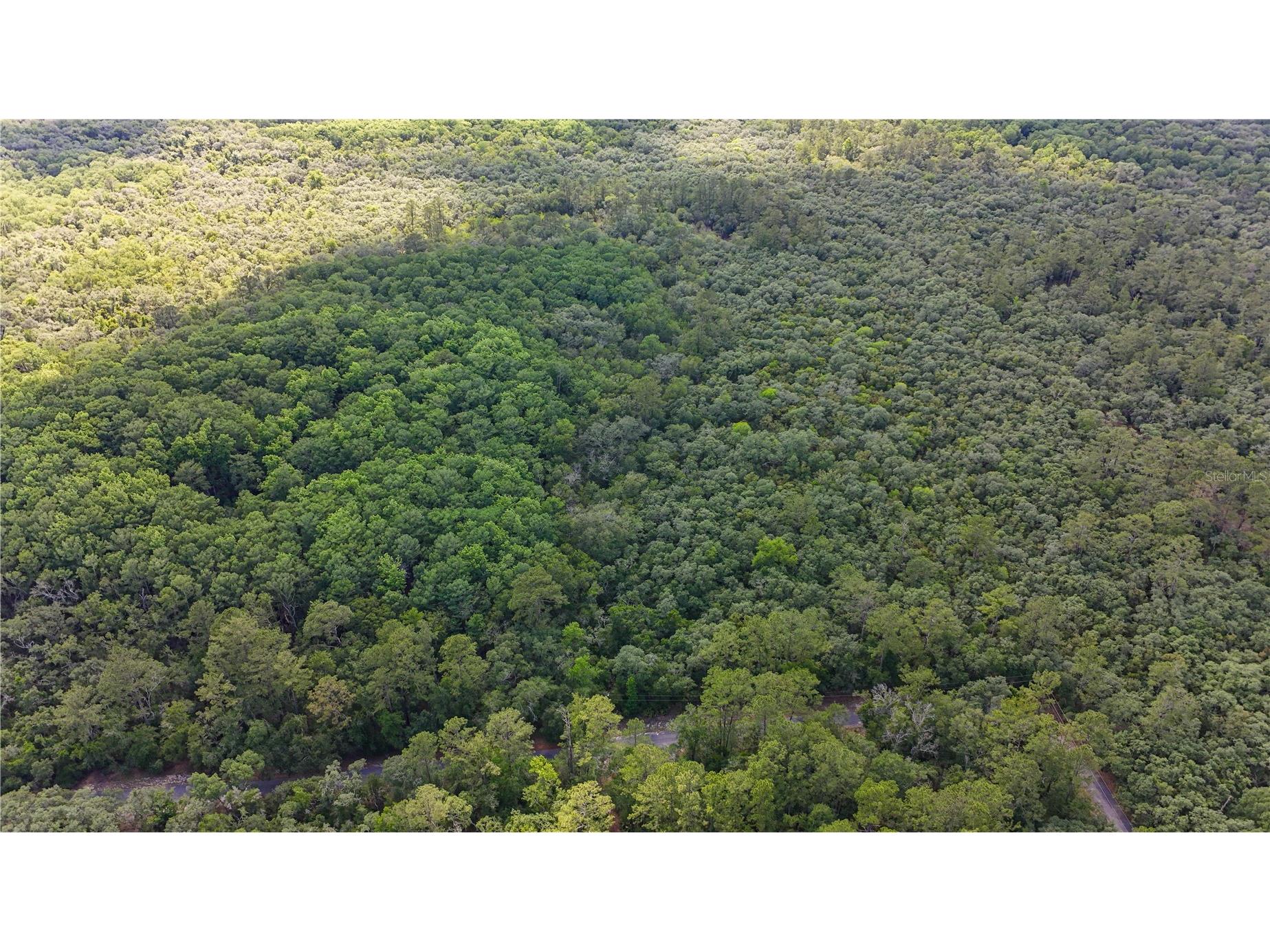 TBD Off Riverview Road #9 Fanning Springs FL 32693 - SUWANNEE RIVER OM719537 image39