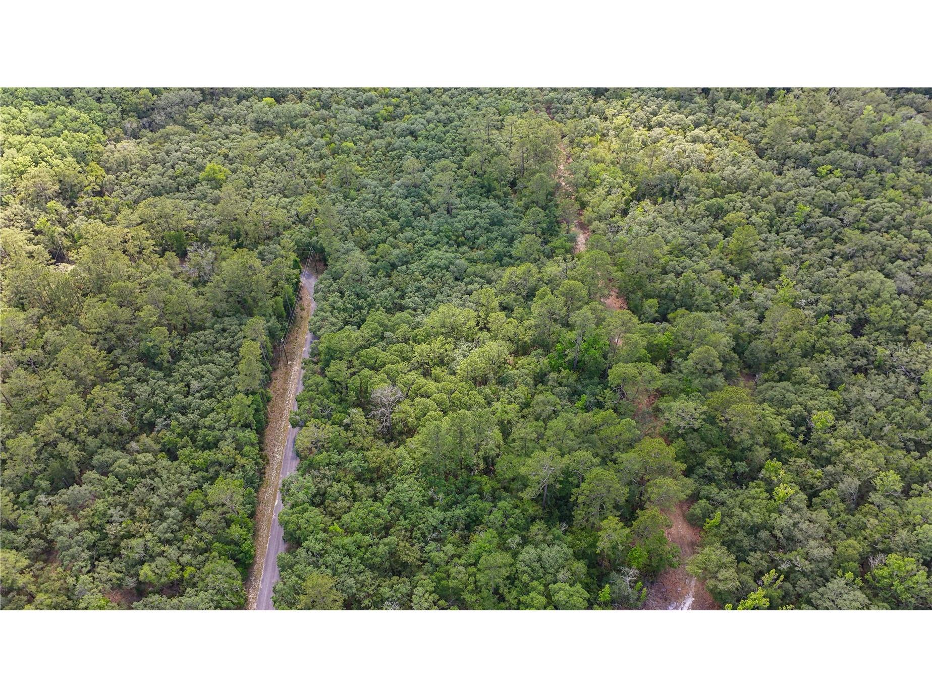 TBD Off Riverview Road #9 Fanning Springs FL 32693 - SUWANNEE RIVER OM719537 image40