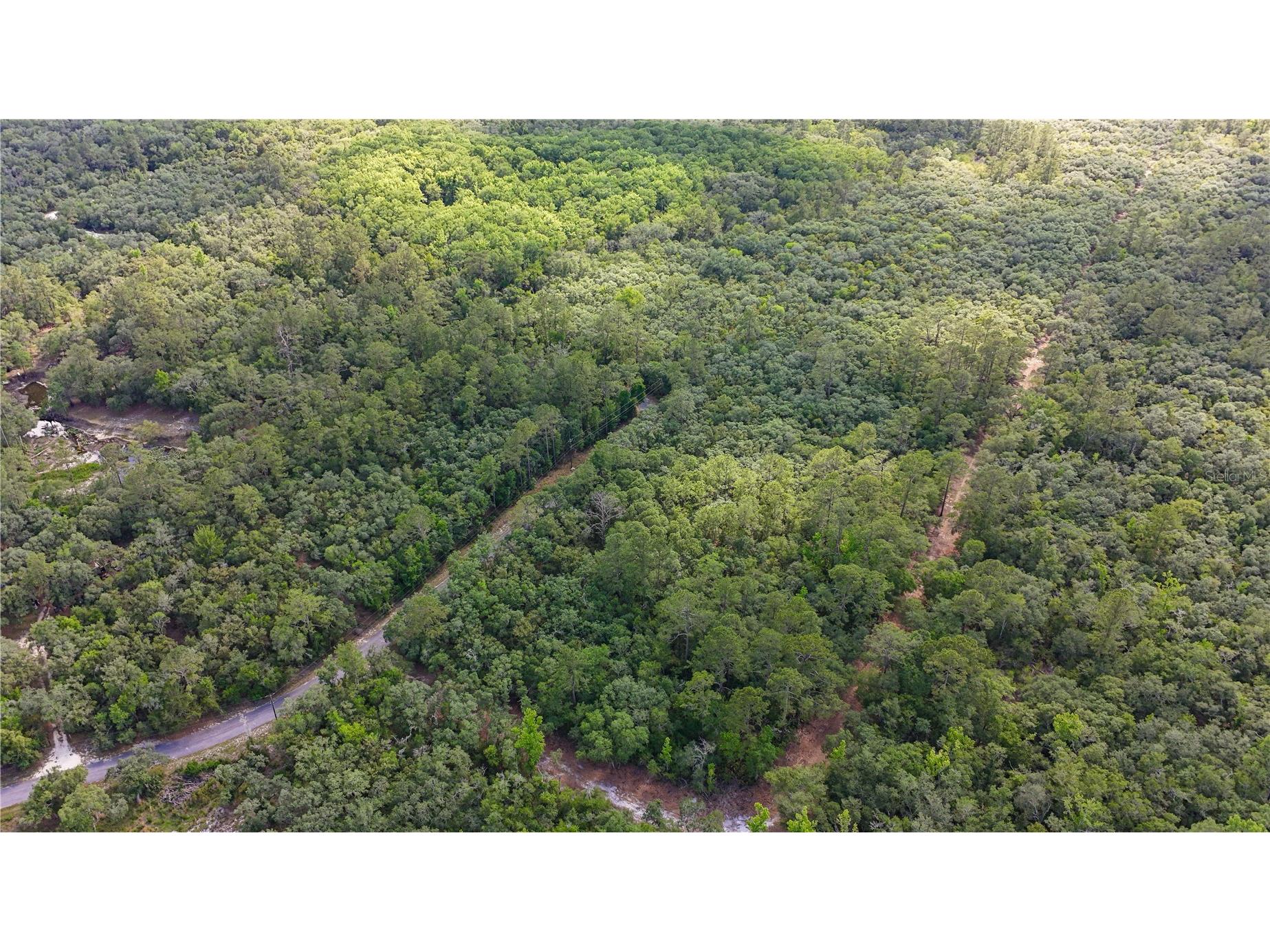 TBD Off Riverview Road #9 Fanning Springs FL 32693 - SUWANNEE RIVER OM719537 image41