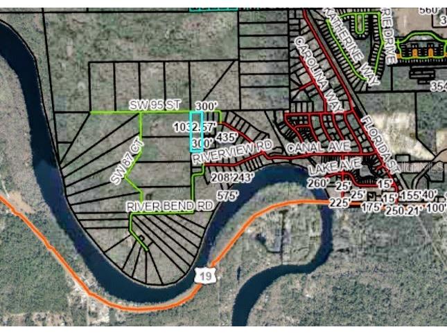 TBD Off Riverview Road #9 Fanning Springs FL 32693 - SUWANNEE RIVER OM719537 image43