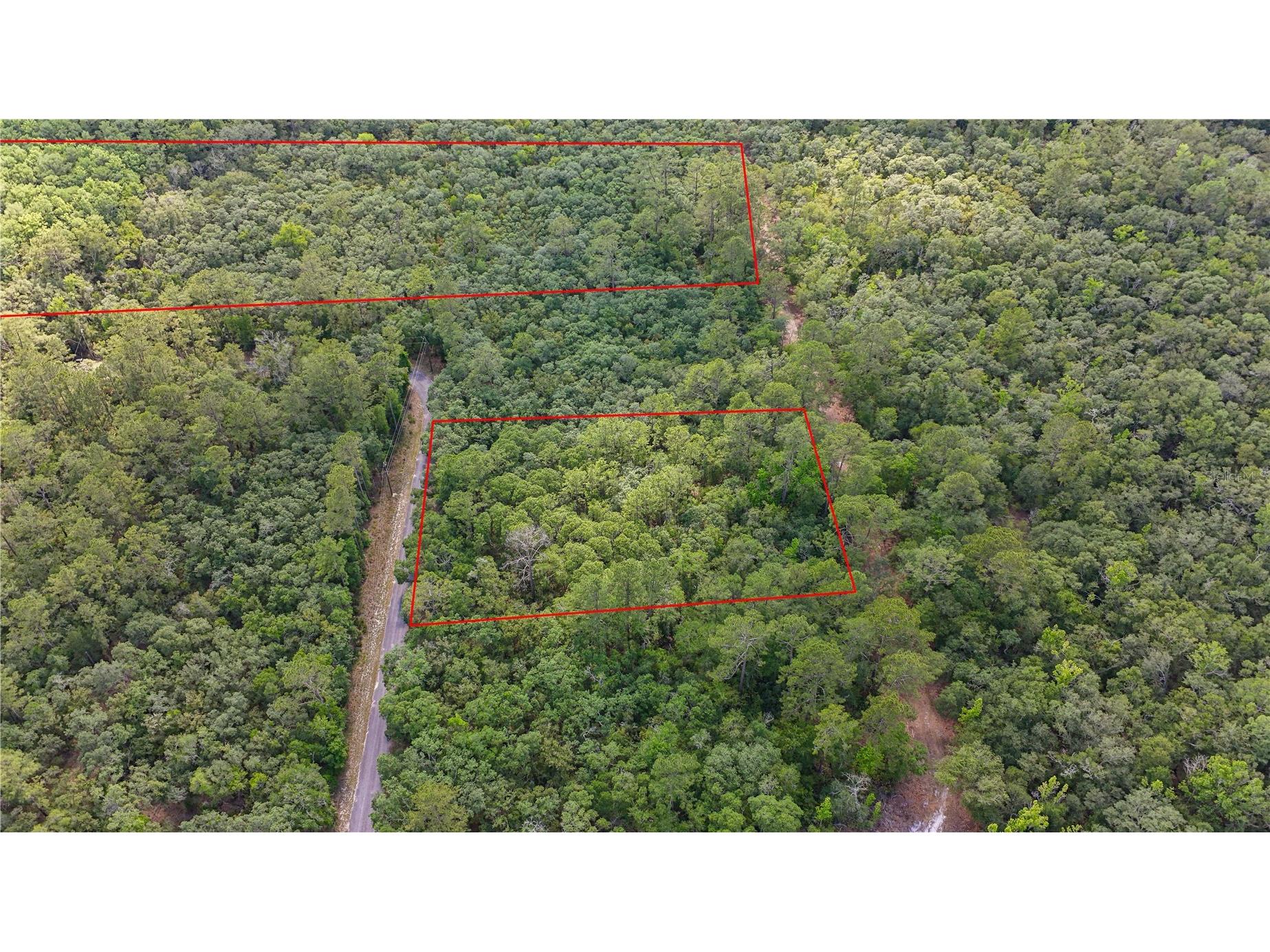 TBD Off Riverview Road #9 Fanning Springs FL 32693 - SUWANNEE RIVER OM719537 image7