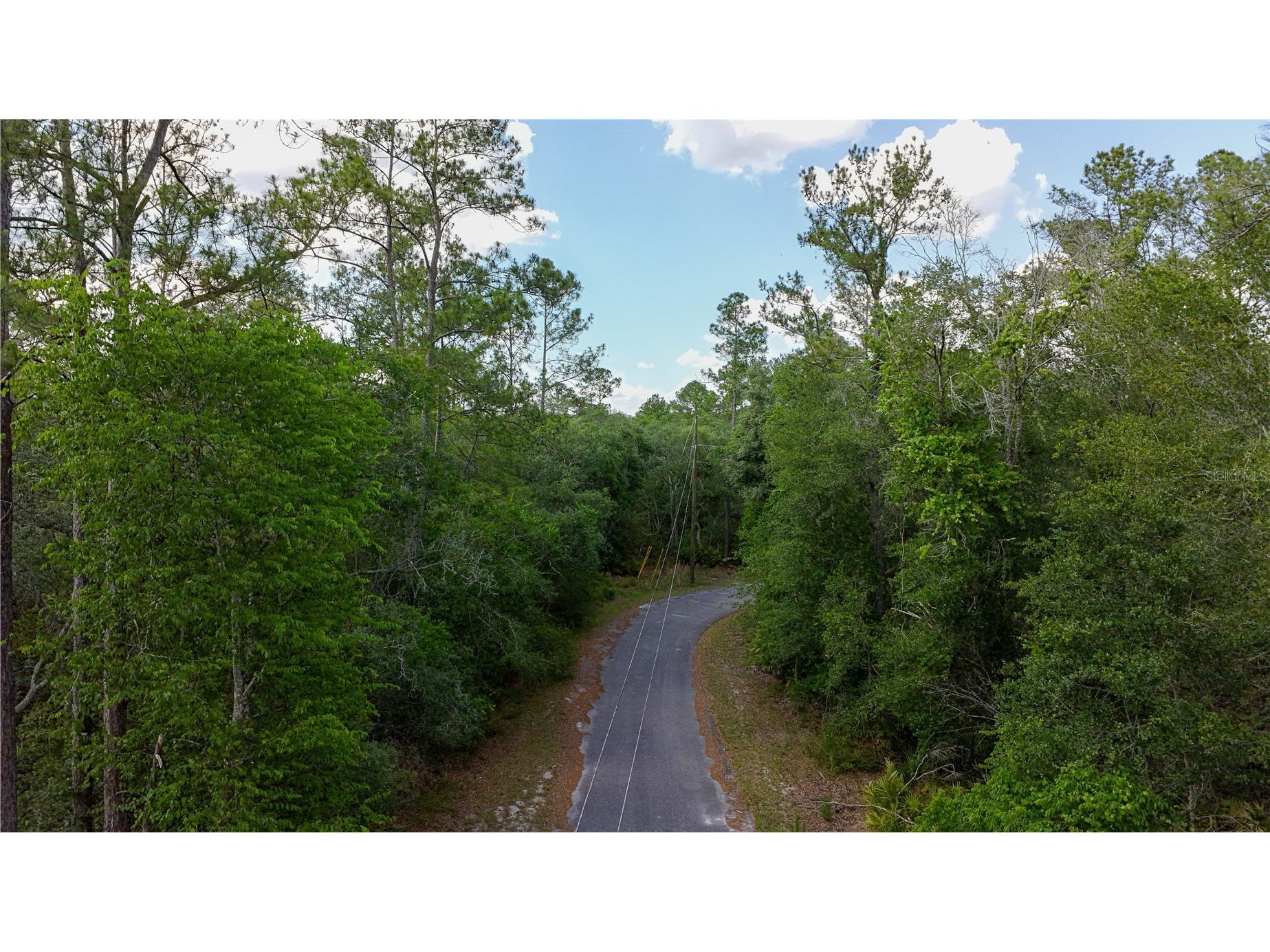 TBD Off Riverview Road #9 Fanning Springs FL 32693 - SUWANNEE RIVER OM719537 image8