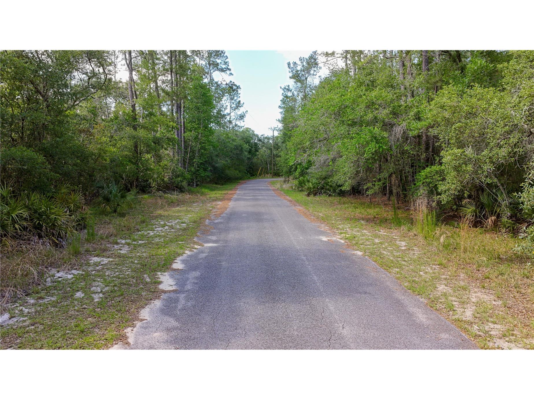 TBD Off Riverview Road #9 Fanning Springs FL 32693 - SUWANNEE RIVER OM719537 image9