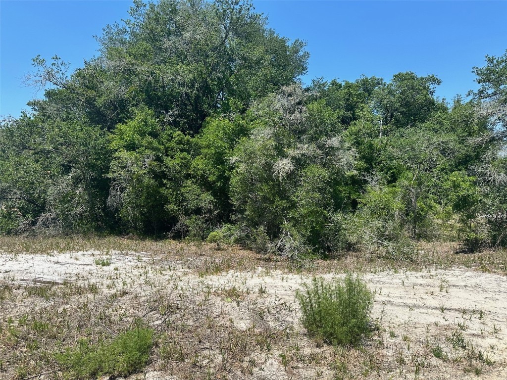 TBD Orange Road Ocklawaha FL 32179 O6306516 image1