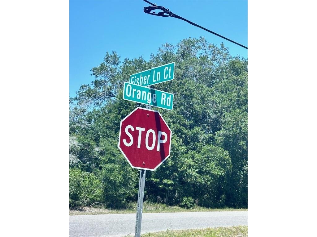 TBD Orange Road Ocklawaha FL 32179 O6306516 image2
