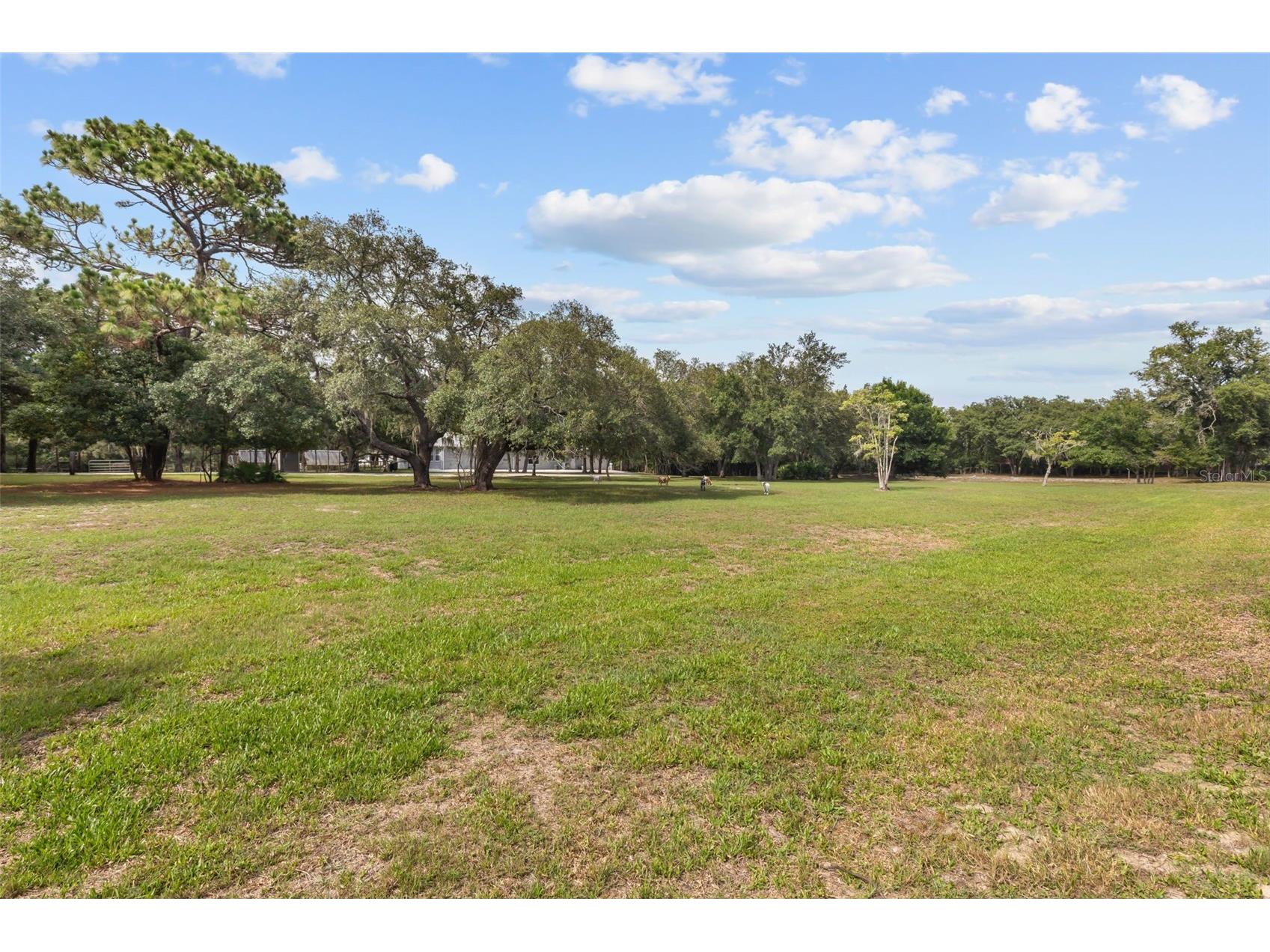 TBD Osceola Drive New Port Richey FL 34654 G5115421 image3