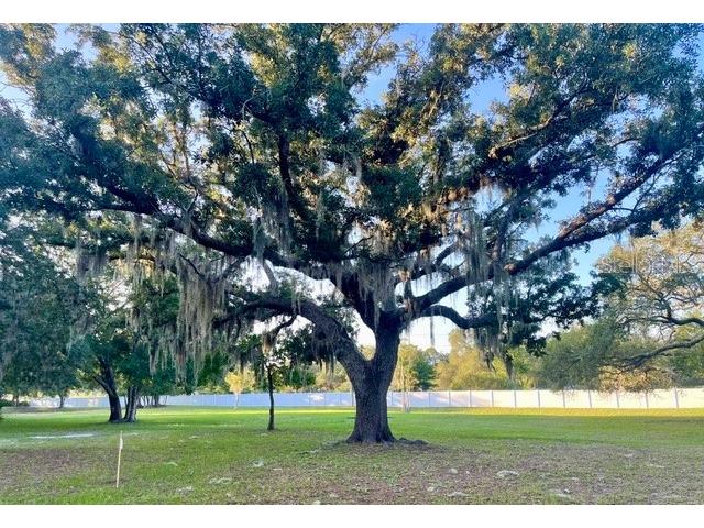 TBD Osceola Drive New Port Richey FL 34654 G5115421 image32