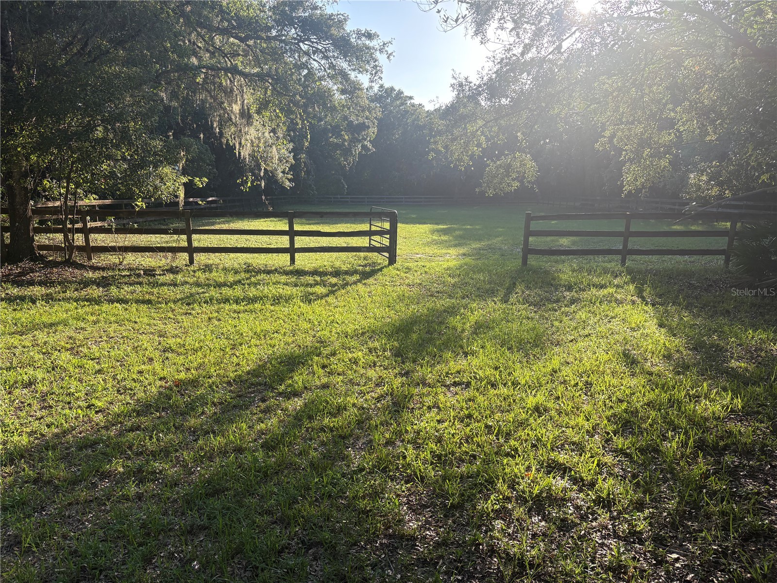 TBD Osceola Drive New Port Richey FL 34654 G5115421 image39