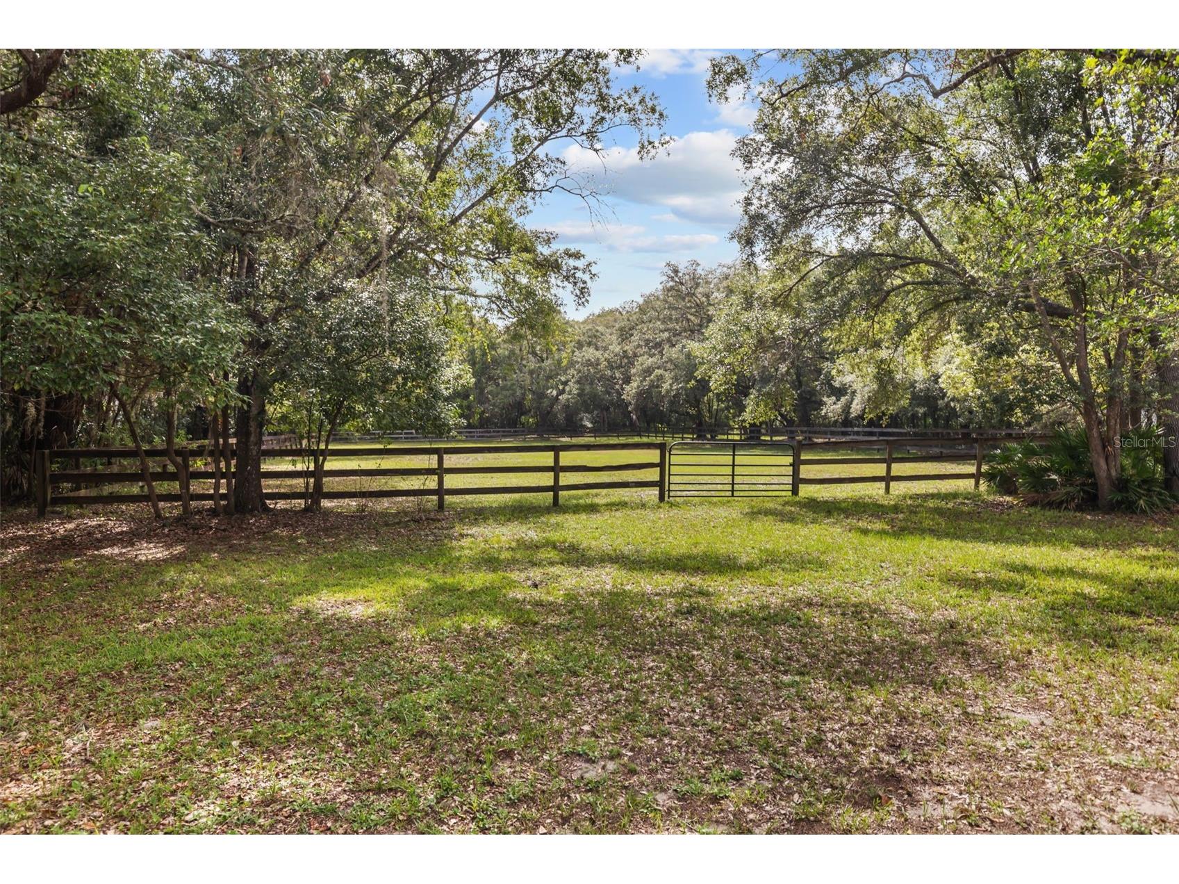 TBD Osceola Drive New Port Richey FL 34654 G5115421 image41
