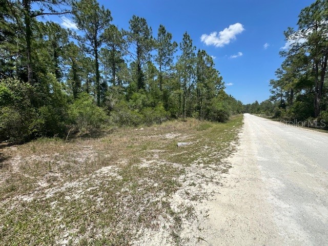 TBD Otter Drive #LOT 44 Webster FL 33597 - Long Lake G5058596 image1