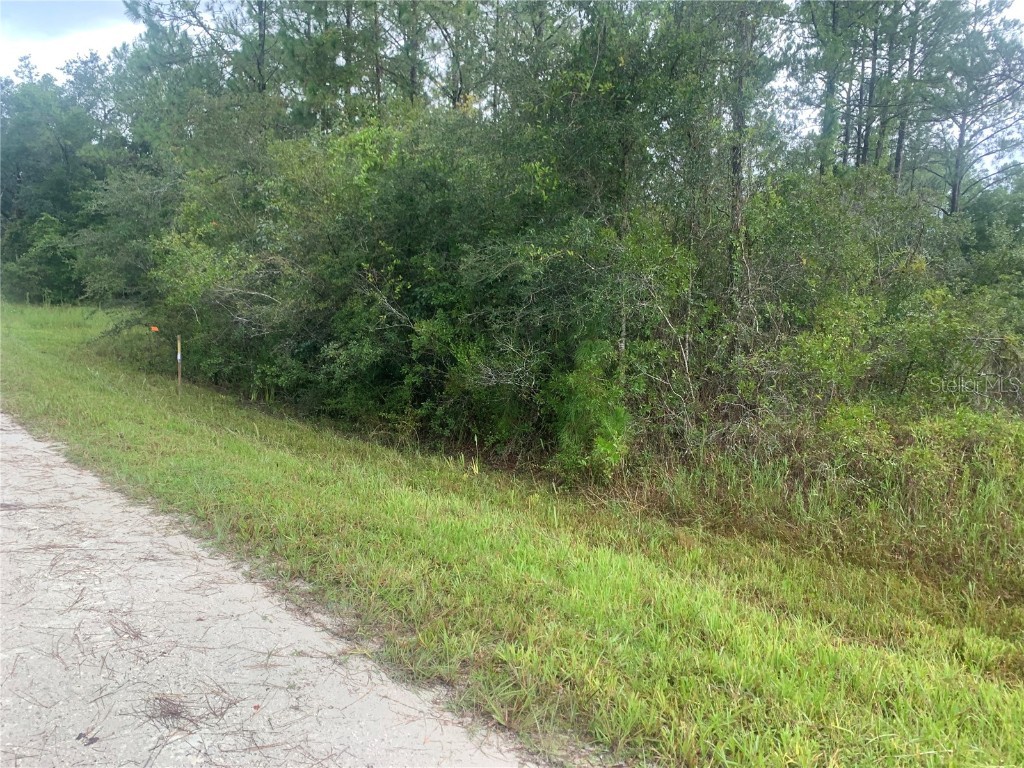 TBD Otter Drive #LOT 44 Webster FL 33597 - Long Lake G5058596 image2