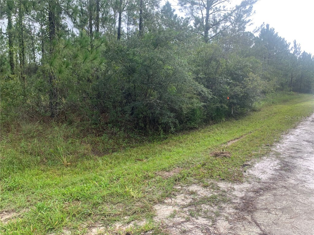 TBD Otter Drive #LOT 44 Webster FL 33597 - Long Lake G5058596 image3