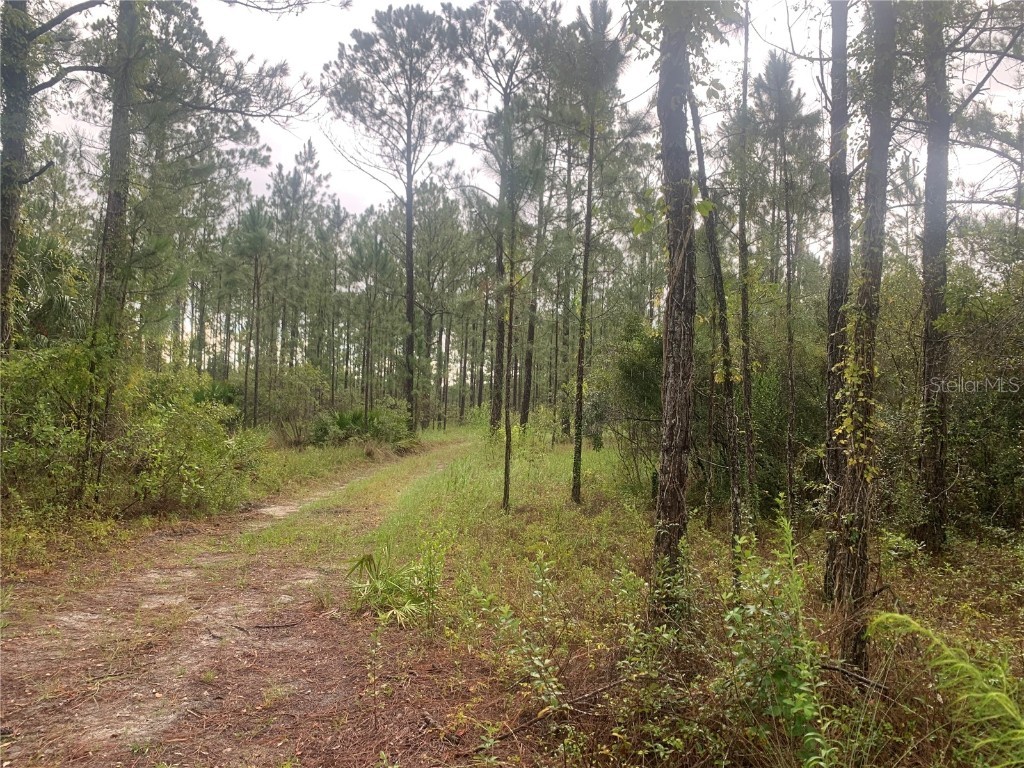TBD Otter Drive #LOT 44 Webster FL 33597 - Long Lake G5058596 image4