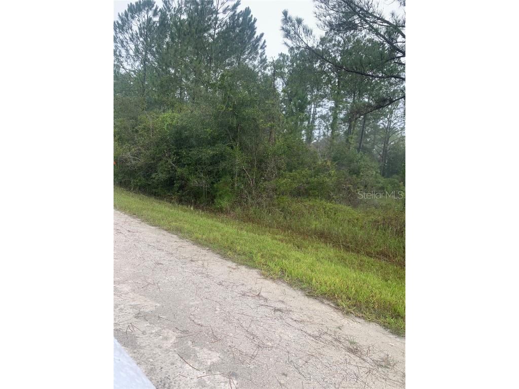 TBD Otter Drive #LOT 44 Webster FL 33597 - Long Lake G5058596 image6