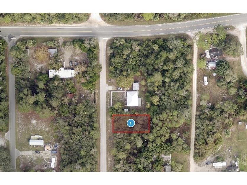 TBD Palmetto Street Paisley FL 32767 A4618840 image1