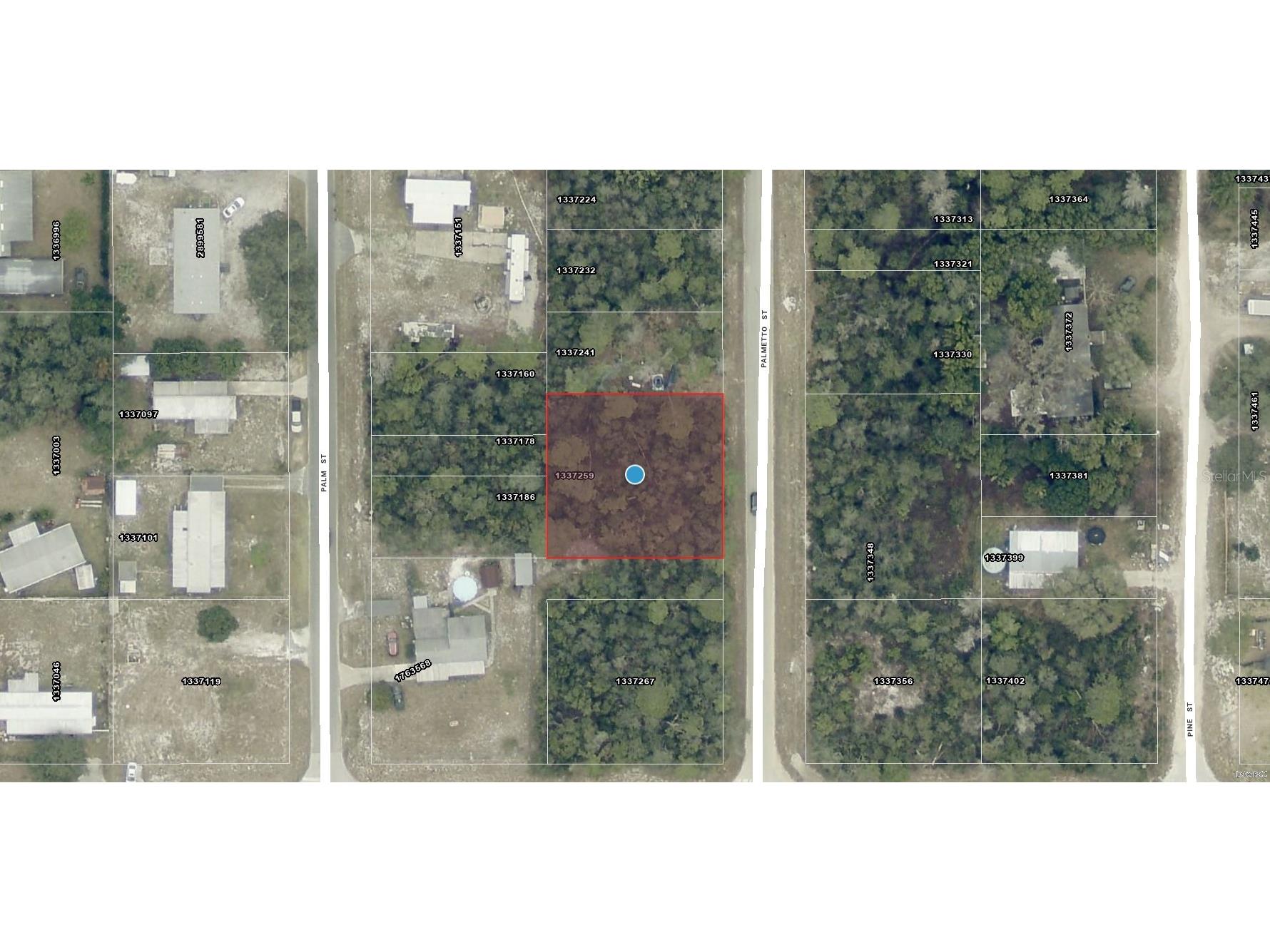 TBD Palmetto Street Paisley FL 32767 OM726671 image1