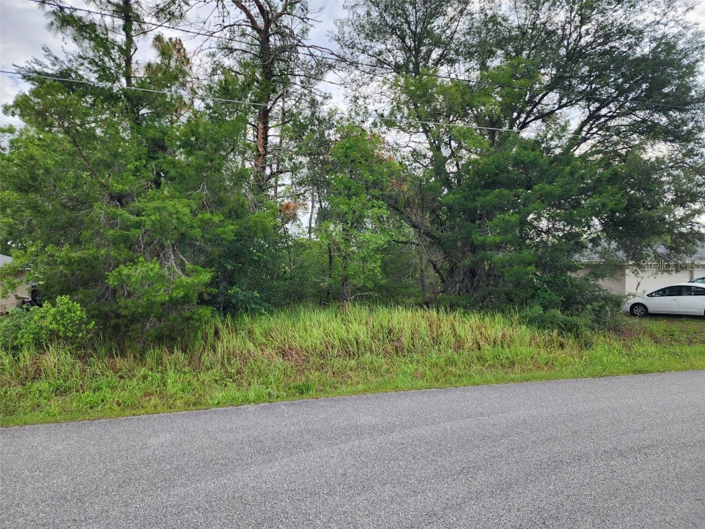 TBD Pecan Pass Trl Ocala FL 34472 OM702892 image1