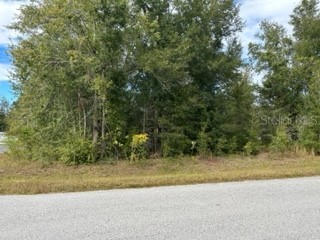 TBD Pecan Road Ocala FL 34472 OM667533 image1