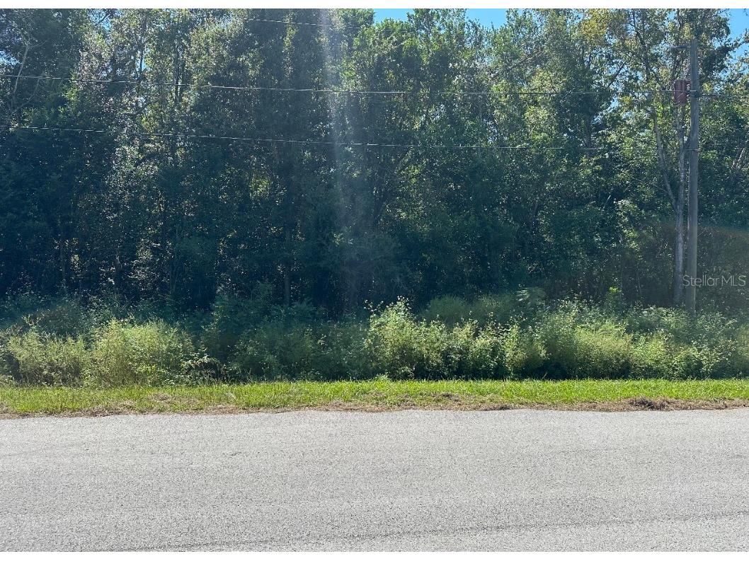 TBD Pine Course Ocala FL 34472 OM668143 image1