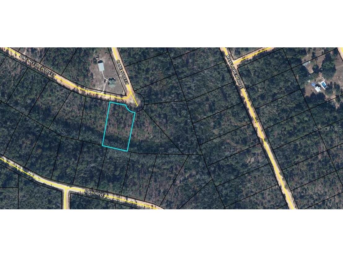 TBD Pine Needle Street Marianna FL 32448 O6386737 image1