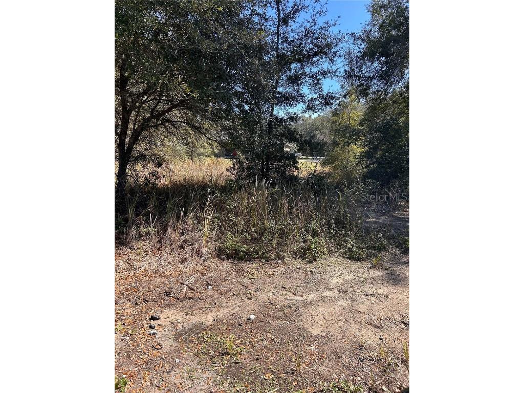 TBD Pine Pass Lane Ocala FL 34472 OM672372 image1