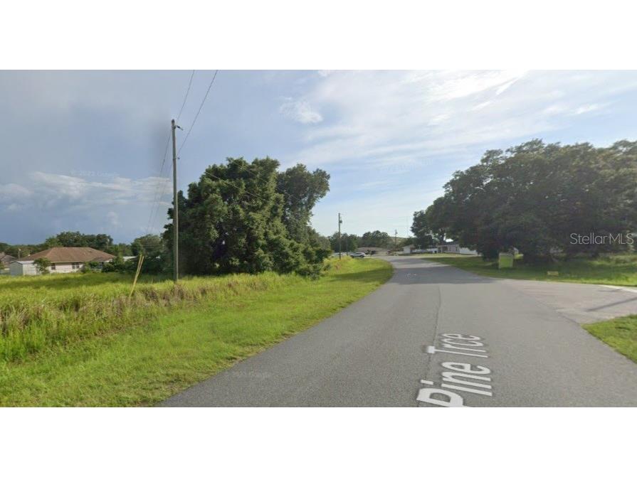 TBD Pine Track Ocala FL 34472 OM668056 image1