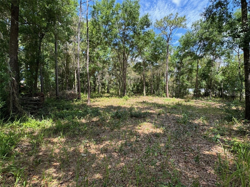 TBD Pine Way Court Ocala FL 34472 OM676601 image3