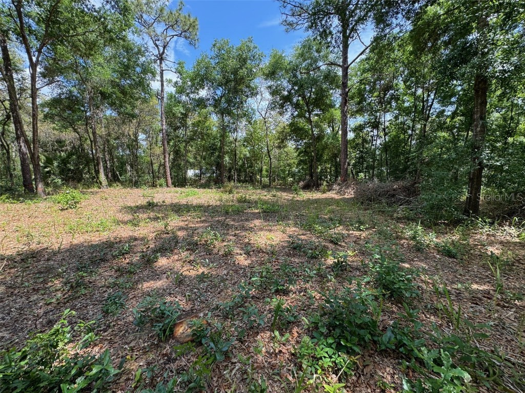 TBD Pine Way Court Ocala FL 34472 OM676601 image4
