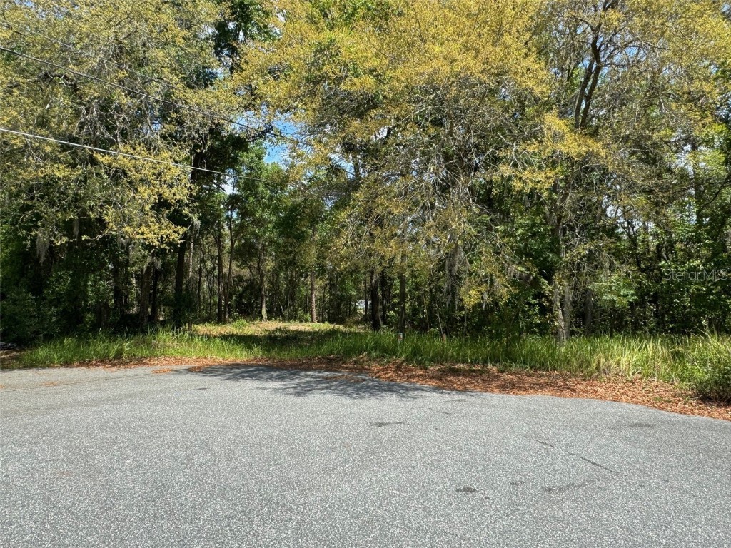 TBD Pine Way Court Ocala FL 34472 OM676601 image5