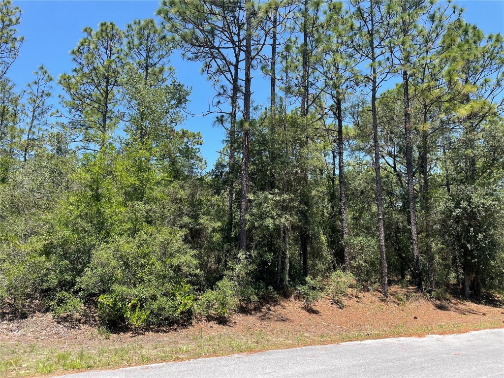 TBD Pineapple Hill Drive Dunnellon FL 34430 OM658081 image1
