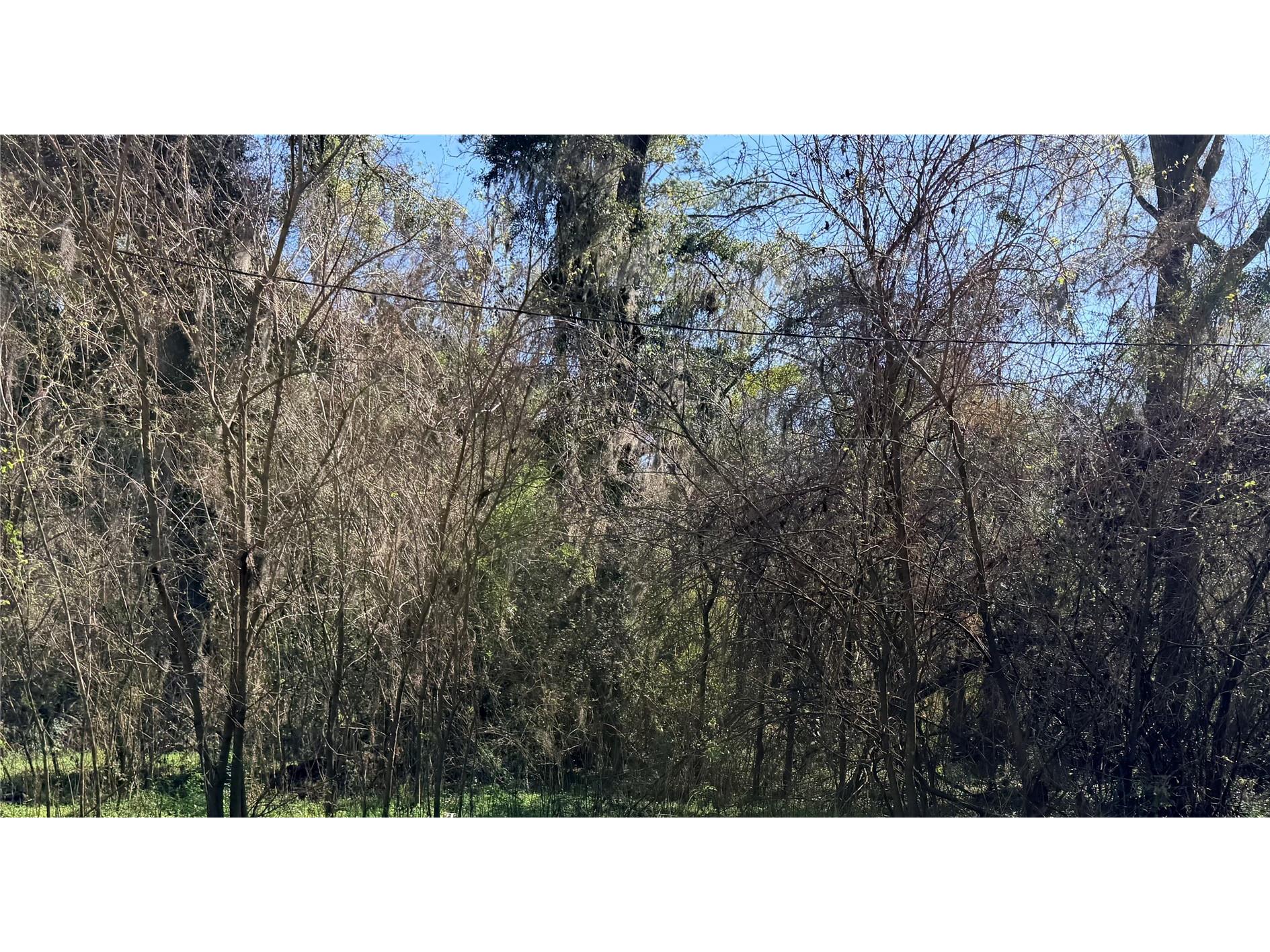 TBD Platted Road Way Alachua FL 32615 GC537882 image1