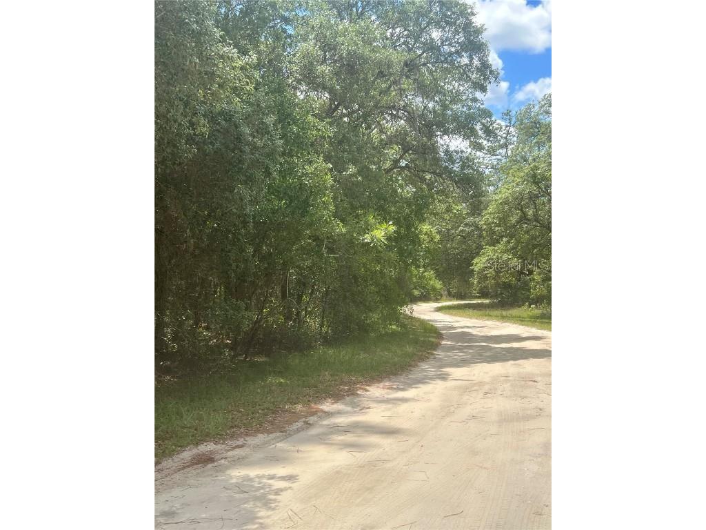 TBD Pond Circle Interlachen FL 32148 FC291291 image1