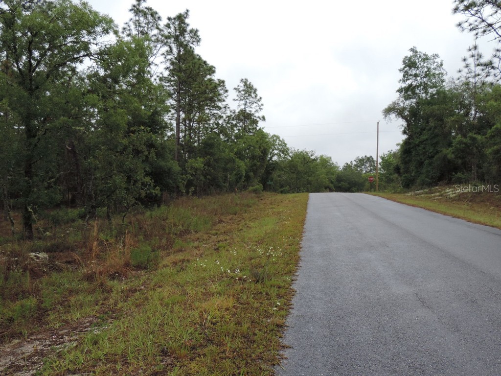 TBD Pony Ridge Dunnellon FL 34431 OM690438 image2