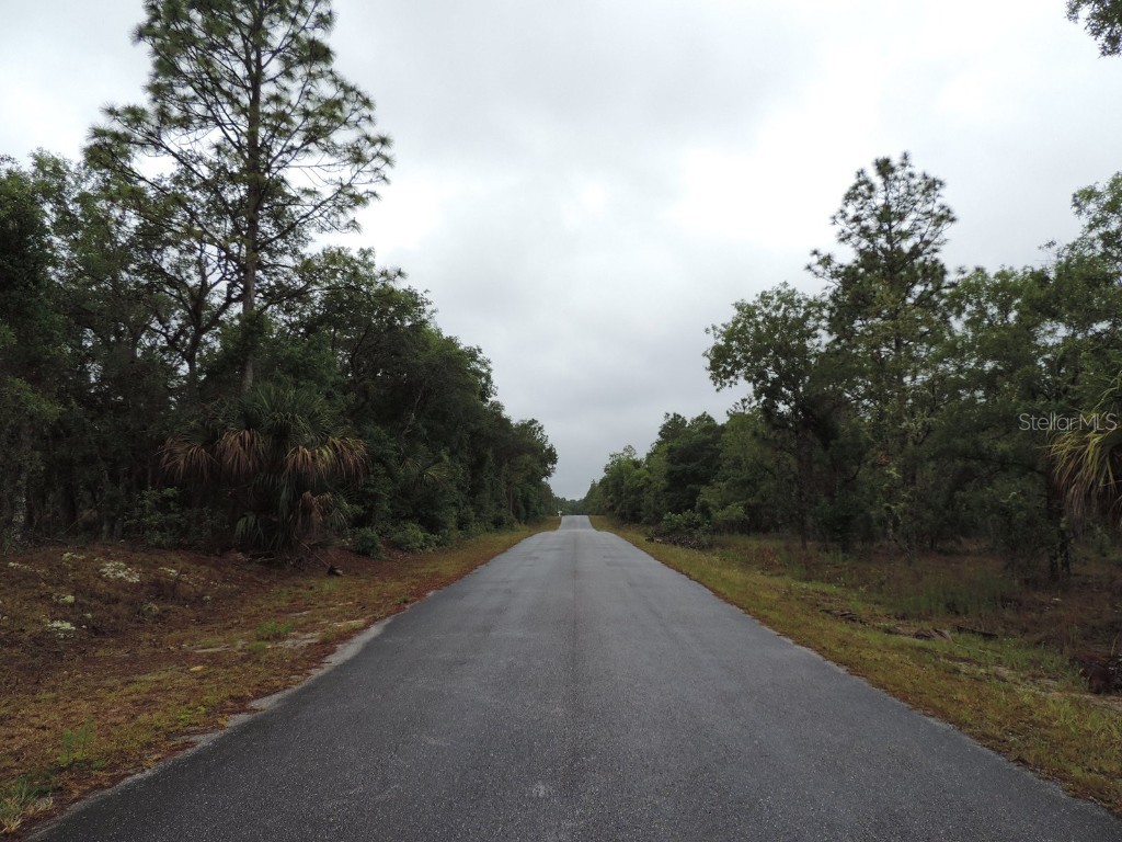 TBD Pony Ridge Dunnellon FL 34431 OM690438 image7