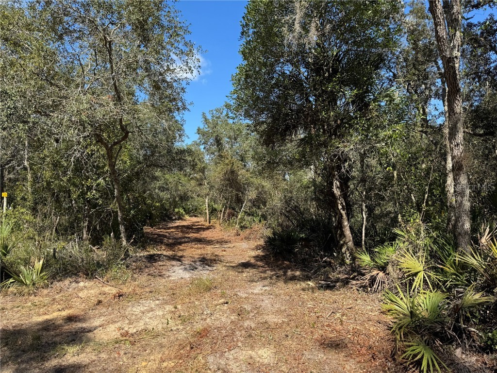 TBD Quail Road Cedar Key FL 32625 GC534716 image10