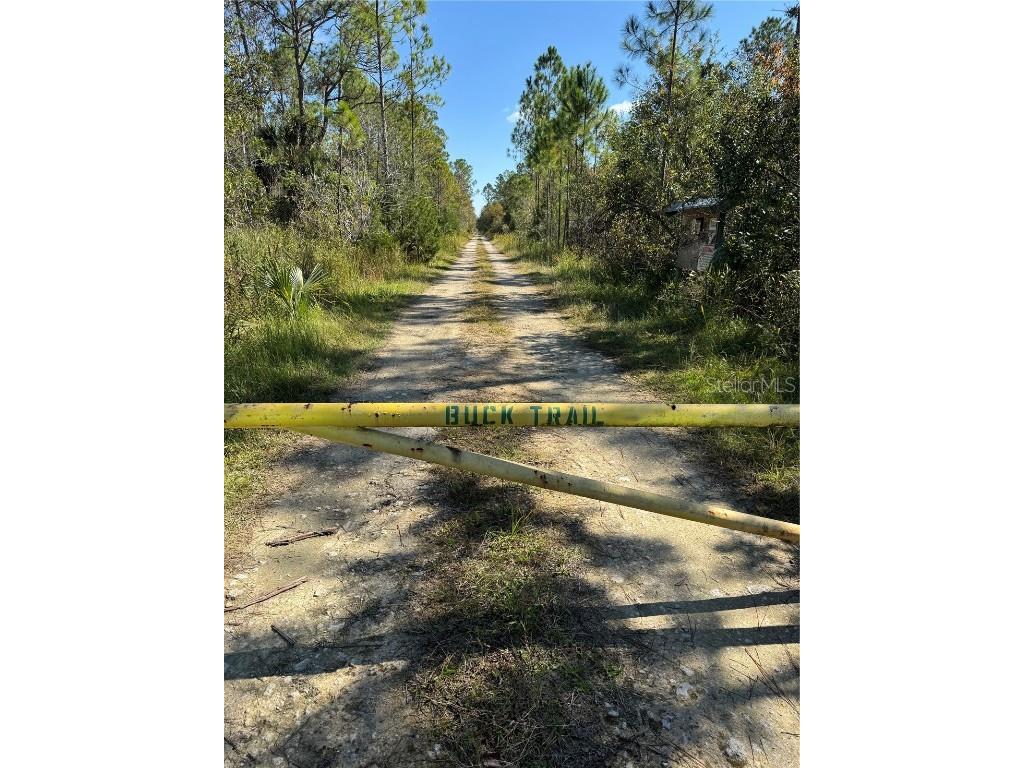 TBD Quail Road Cedar Key FL 32625 GC534716 image2