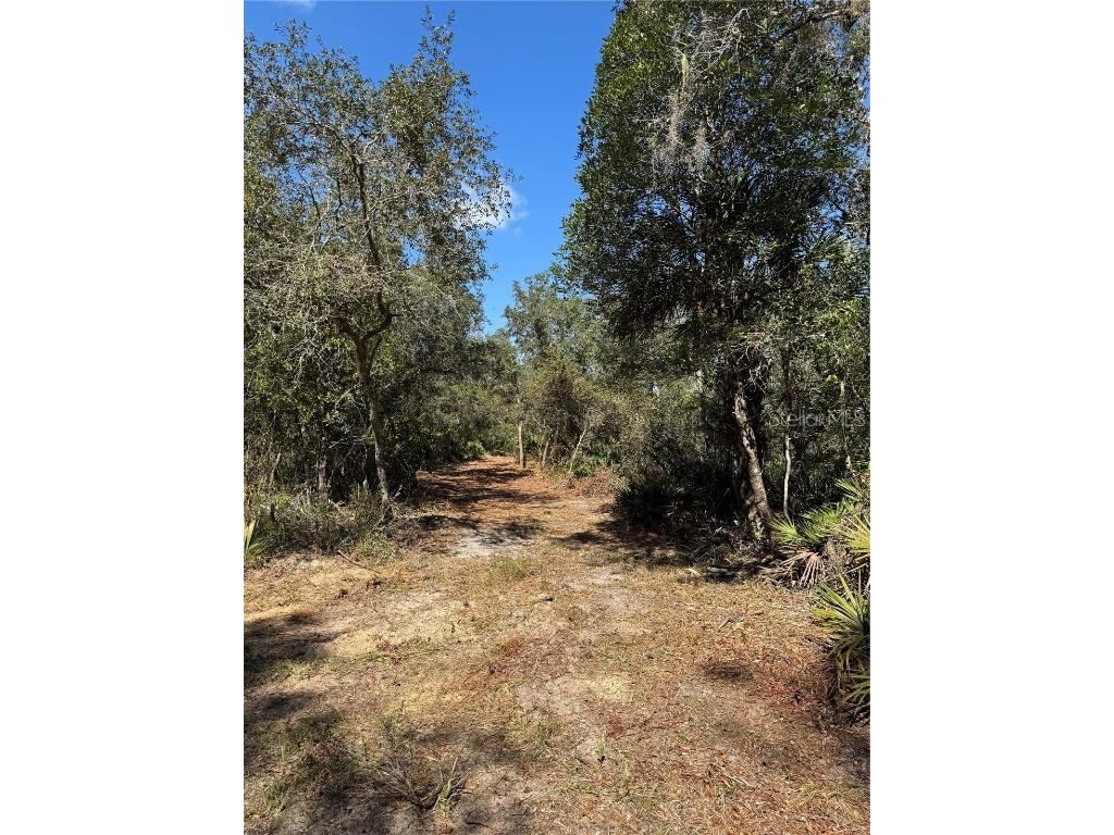 TBD Quail Road Cedar Key FL 32625 GC534716 image21