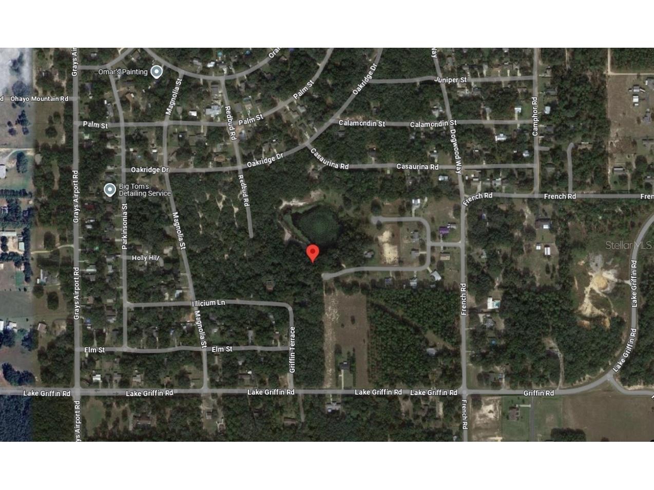 TBD Redbud Road Lady Lake FL 32159 G5091551 image3