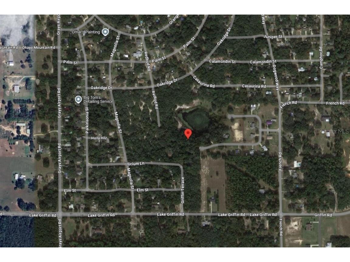 TBD Redbud Road Lady Lake FL 32159 G5091596 image1