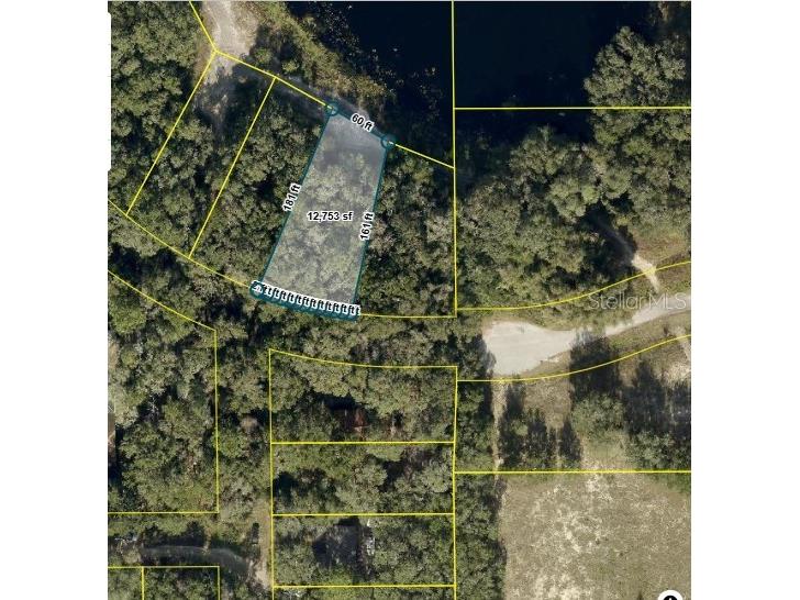 TBD Redbud Road Lady Lake FL 32159 G5091596 image4