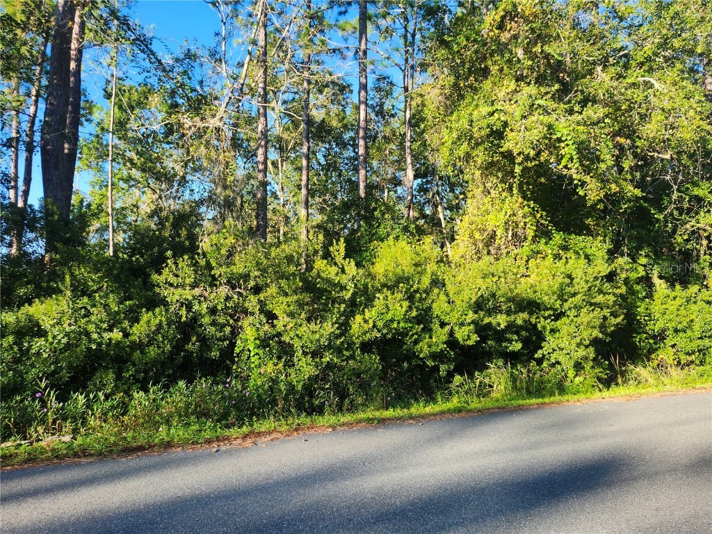 TBD Redwood Track Course Ocala FL 34472 OM711559 image3
