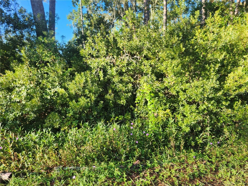 TBD Redwood Track Course Ocala FL 34472 OM711559 image7