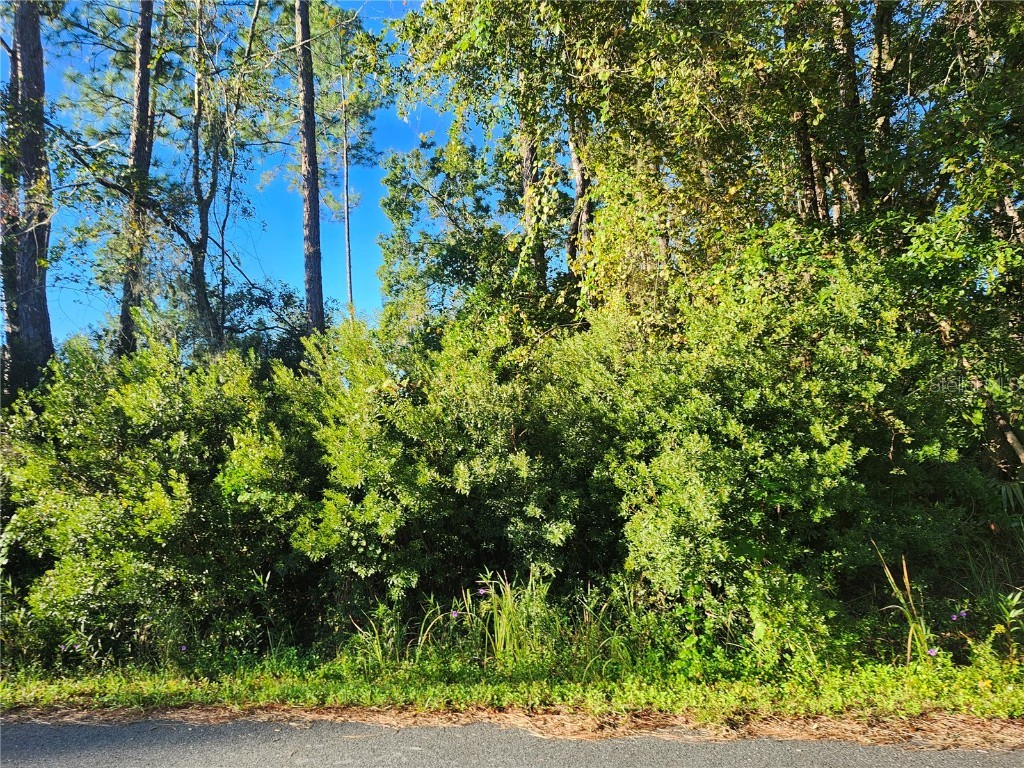 TBD Redwood Track Course Ocala FL 34472 OM711559 image8