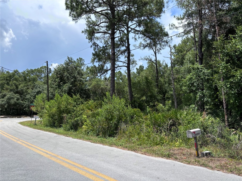 TBD Redwood Track Run Ocala FL 34472 OM679775 image1